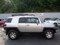 Titanium Metallic - FJ Cruiser 4WD Photo No. 5