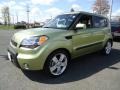 2010 Alien Green Kia Soul !  photo #2