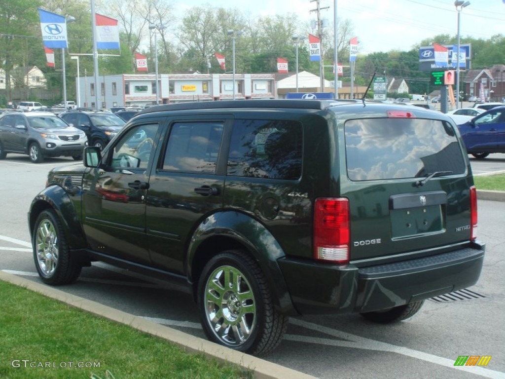 2010 Nitro Heat 4x4 - Natural Green Pearl / Khaki photo #5