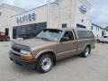 2003 Sandalwood Metallic Chevrolet S10 Regular Cab #64870017