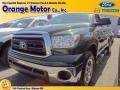 Spruce Green Mica 2010 Toyota Tundra Double Cab 4x4