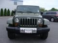 2009 Jeep Green Metallic Jeep Wrangler Sahara 4x4  photo #2