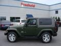 Jeep Green Metallic - Wrangler Sahara 4x4 Photo No. 3