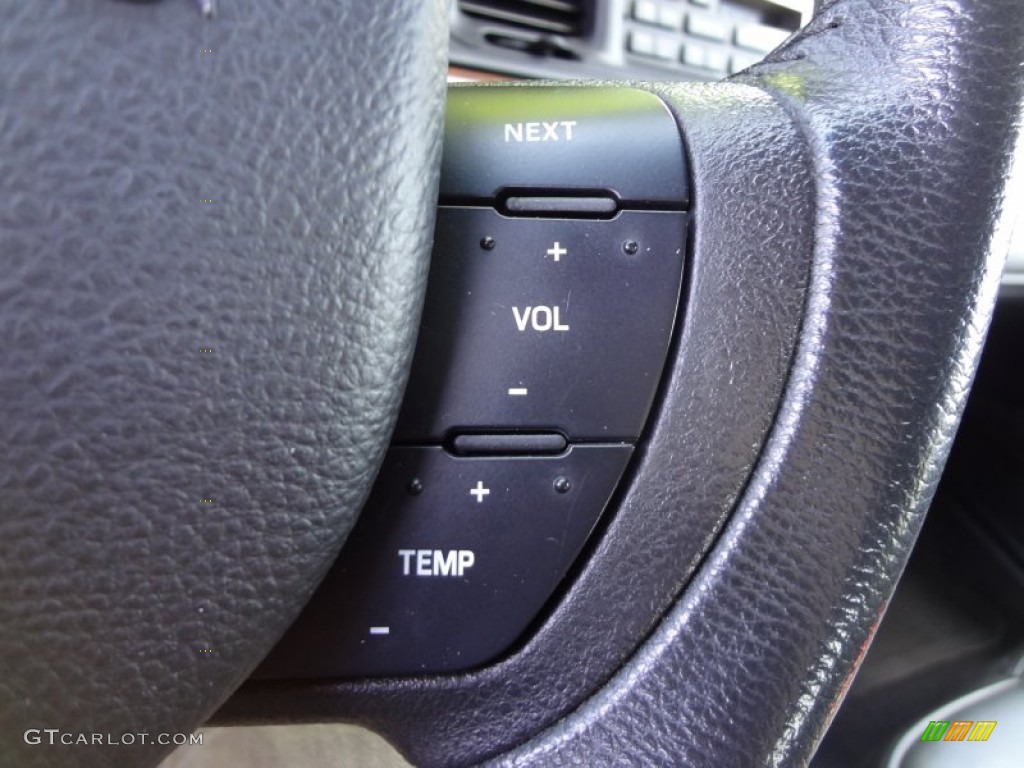 2006 Crown Victoria LX - Black / Charcoal Black photo #14