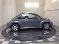 Platinum Grey - New Beetle 2.5 Coupe Photo No. 3