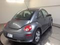Platinum Grey - New Beetle 2.5 Coupe Photo No. 5