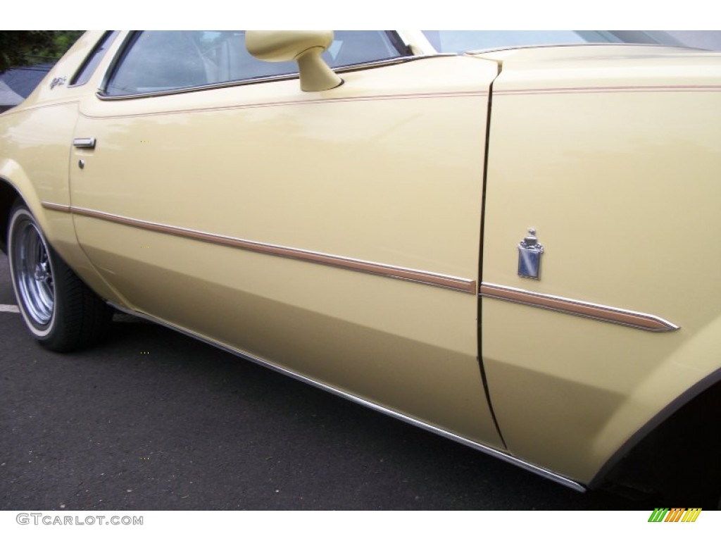 1977 Regal S/R Coupe - Cream Yellow / Buckskin photo #7