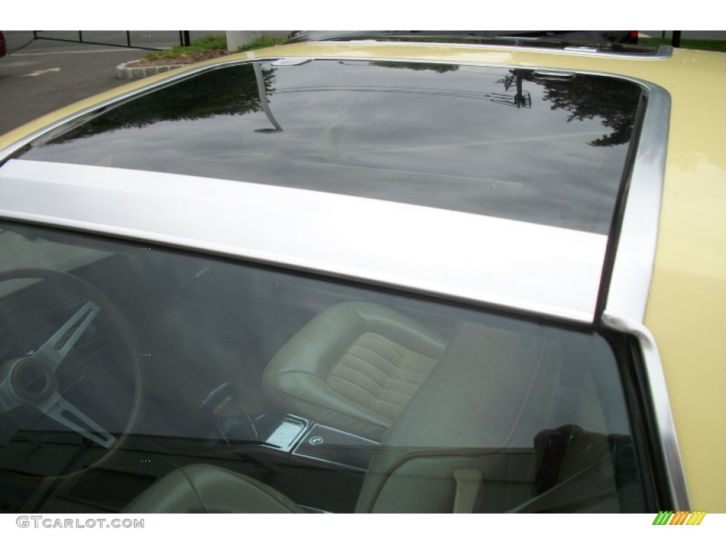 1977 Cream Yellow Buick Regal S R Coupe 64870538 Photo