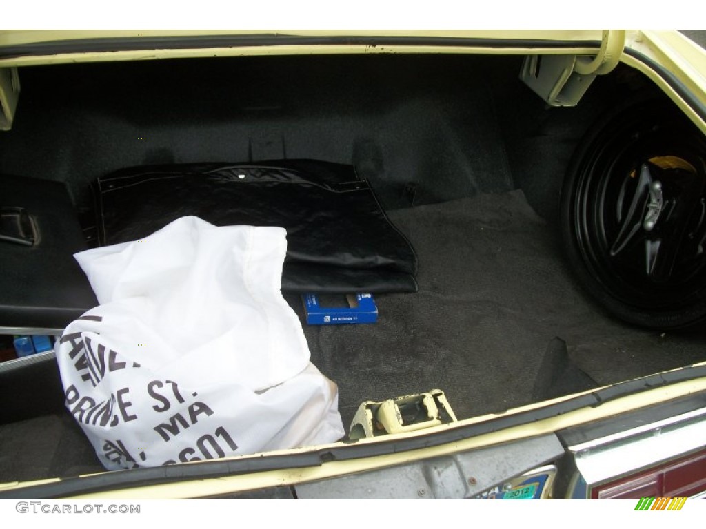 1977 Buick Regal S/R Coupe Trunk Photo #64878377
