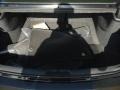 Gloss Black - 300 SRT8 Photo No. 19