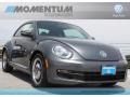 Platinum Gray Metallic - Beetle 2.5L Photo No. 1