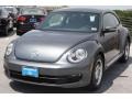 Platinum Gray Metallic - Beetle 2.5L Photo No. 3