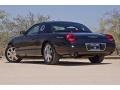 Evening Black - Thunderbird Premium Roadster Photo No. 10