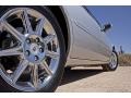 Radiant Silver Metallic - DTS Luxury Photo No. 9