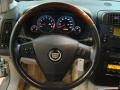 Light Platinum - SRX V6 Photo No. 11