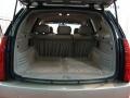 Light Platinum - SRX V6 Photo No. 15