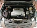 Light Platinum - SRX V6 Photo No. 21