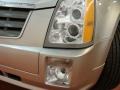 Light Platinum - SRX V6 Photo No. 22