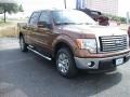 Golden Bronze Metallic - F150 XLT SuperCrew Photo No. 1