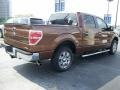 Golden Bronze Metallic - F150 XLT SuperCrew Photo No. 12