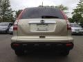 Borrego Beige Metallic - CR-V EX 4WD Photo No. 10