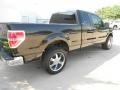 2010 Tuxedo Black Ford F150 XLT SuperCab  photo #7