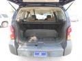 Midnight Blue Pearl - Xterra S Photo No. 10