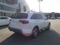 Aspen White Pearl - MDX Technology Photo No. 3