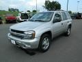 Silverstone Metallic - TrailBlazer LS 4x4 Photo No. 7