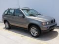 Stratus Grey Metallic - X5 3.0i Photo No. 2