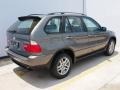 Stratus Grey Metallic - X5 3.0i Photo No. 3