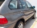 Stratus Grey Metallic - X5 3.0i Photo No. 12