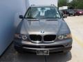 Stratus Grey Metallic - X5 3.0i Photo No. 13