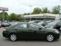 Spruce Green Mica - Camry LE Photo No. 1