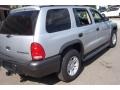 Bright Silver Metallic - Durango Sport Photo No. 6