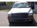 Bright Silver Metallic - Durango Sport Photo No. 9