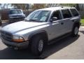 Bright Silver Metallic - Durango Sport Photo No. 11