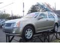 Cashmere Metallic - SRX V8 Photo No. 2