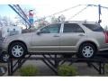 Cashmere Metallic - SRX V8 Photo No. 3