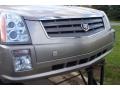 Cashmere Metallic - SRX V8 Photo No. 6