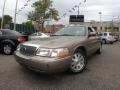 2004 Gold Ash Metallic Mercury Grand Marquis LS  photo #1