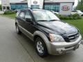 Ebony Black - Sorento EX 4WD Photo No. 1