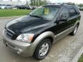 Ebony Black - Sorento EX 4WD Photo No. 7