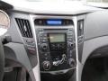 Radiant Silver - Sonata GLS Photo No. 14