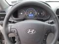 2009 Steel Gray Hyundai Santa Fe SE 4WD  photo #16