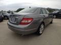 Palladium Silver Metallic - C 300 4Matic Photo No. 5
