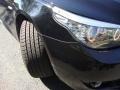 Jet Black - 5 Series 528xi Sedan Photo No. 15