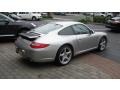 2009 Arctic Silver Metallic Porsche 911 Carrera Coupe  photo #9