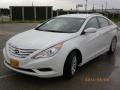 Shimmering White - Sonata GLS Photo No. 9