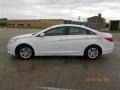 Shimmering White - Sonata GLS Photo No. 10